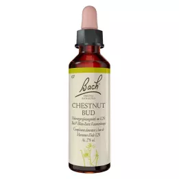 BACHBLÜTEN Chestnut Bud cseppek, 20 ml