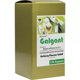 GALGANT Kapseln, 120 db