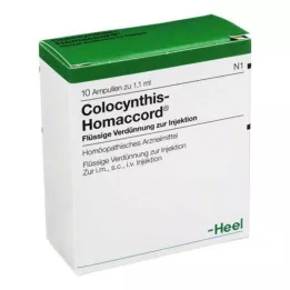 COLOCYNTHIS HOMACCORD Ampoules, 10 db