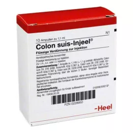COLON SUIS Injeel Ampoules, 10 db