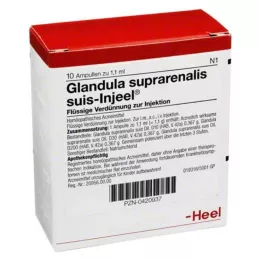 GLANDULA SUPRARENALIS Suis Injeel Ampoules, 10 db