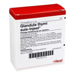 GLANDULA THYMI Suis Injeel Ampoules, 10 db