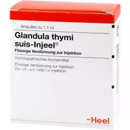 GLANDULA THYMI Suis Injeel Ampoules, 100 db