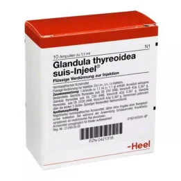 GLANDULA THYREOIDEA Suis Injeel Ampoules, 10 db