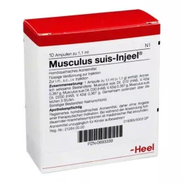 MUSCULUS SUIS Injeel Ampoules, 10 db