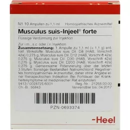 MUSCULUS SUIS Injeel Forte Ampoules, 10 db