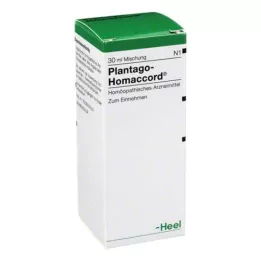 PLANTAGO HOMACCORD Cseppek, 30 ml