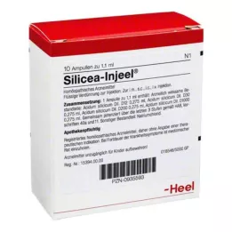 SILICEA INJEEL Ampoules, 10 db