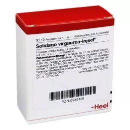 SOLIDAGO VIRGAUREA INJEEL Ampoules, 10 db