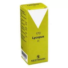 LYCOPUS H No.170 csepp, 50 ml