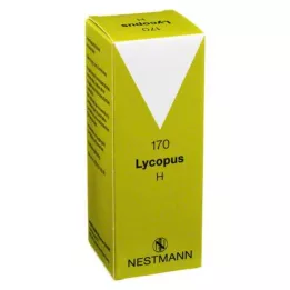 LYCOPUS H No.170 csepp, 100 ml