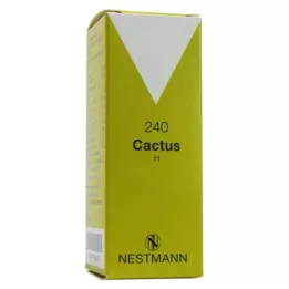 CACTUS H 240 csepp, 50 ml