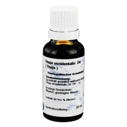 THUJA D 6 hígítás, 20 ml