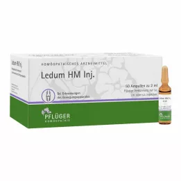 LEDUM HM Injekciós ampullák, 50 db