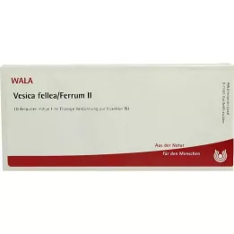 VESICA FELLEA/Ferrum II Ampullák, 10X1 ml
