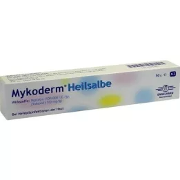 MYKODERM Gyógyító kenőcs nystatin és cink -oxid, 50 g