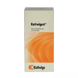 KATTWIGAST tabletták, 100 db