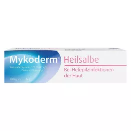 MYKODERM Gyógyító kenőcs Nystatin és cink-oxid, 100 g