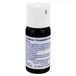 ABSINTHIUM/CARYOPHYLLI kompozíció, 50 ml
