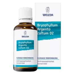 BRYOPHYLLUM ARGENTO cultum D 2 Hígítás, 50 ml