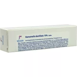 HAMAMELIS DESTILLATA 10% kenőcs, 25 g
