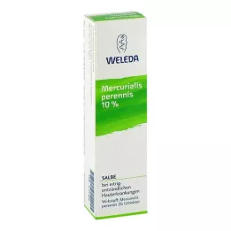 MERCURIALIS PERENNIS 10%-os kenőcs, 25 g