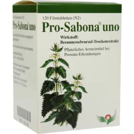 PRO SABONA UNO, 120 db