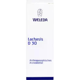 Lachesis D 30 hígítás, 20 ml