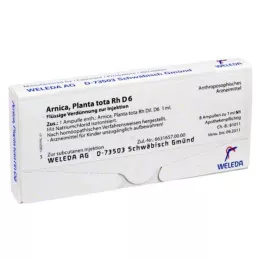 ARNICA PLANTA Tota RH D 6 ampulok, 8x1 ml