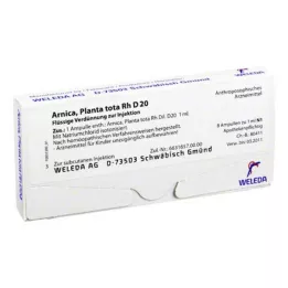 ARNICA PLANTA összesen Rh D 20 ampulla, 8X1 ml