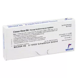 CISSUS-OSSA D 6 ampulla, 8X1 ml