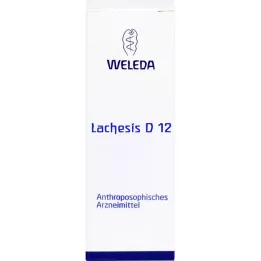 Lachesis D 12 hígítás, 50 ml