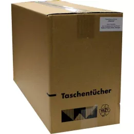 TASCHENTÜCHER Motívum vitaminok, 1 db