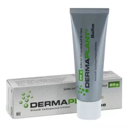 DERMAPLANT Kenőcs, 25 g