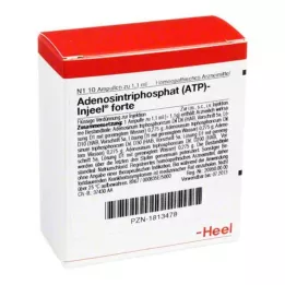 ATP Injeel Forte Ampoules, 10 db