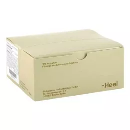 SEROTONIN Injeel Ampoules, 100 db