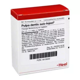 PULPA DENTIS SUIS Injeel Ampoules, 10 db