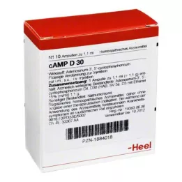 CAMP D 30 Ampoules, 10 db