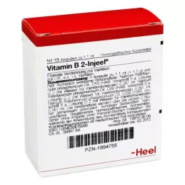 VITAMIN B2 INJEEL Ampoules, 10 db