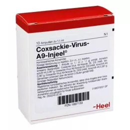 COXSACKIE-Vírus A9 Injeel Ampoules, 10 db