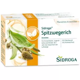 SIDROGA Spitzwegerich tea szűrőzsák, 20x1,4 g
