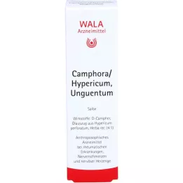 CAMPHORA/HYPERICUM Unguentism, 30 g