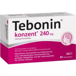TEBONIN 240 mg csoportos film -bevonatú tabletta, 80 db