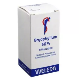 BRYOPHYLLUM 50% por szájon át történő használatra, 20 g