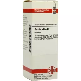 Betula alba urt, 20 ml
