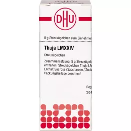 Lm thuja xxiv, 5 g