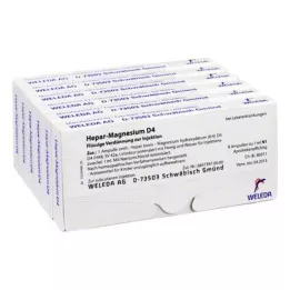 HEPAR MAGNESIUM D 4 ampulla, 48X1 ml