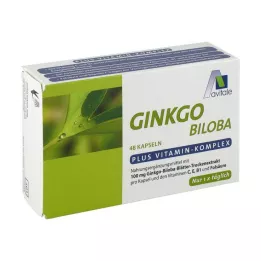 GINKGO 100 mg-os kapszula+B1+C+E, 48 db