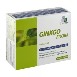 GINKGO 100 mg-os kapszula+B1+C+E, 192 db