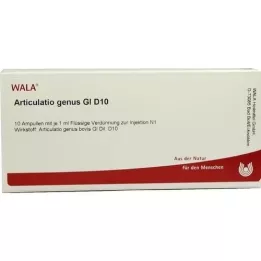 ARTICULATIO nemzetség GL D 10 ampulok, 10x1 ml